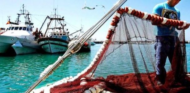 نشرة الصيد البحري المتوقعة على ساحل ليبيا لهذا اليوم