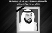 رئيس المجلس الرئاسي يُوجه برقية تعزية في وفاة رئيس دولة الإمارات الشيخ خليفة بن زايد آل نهيان