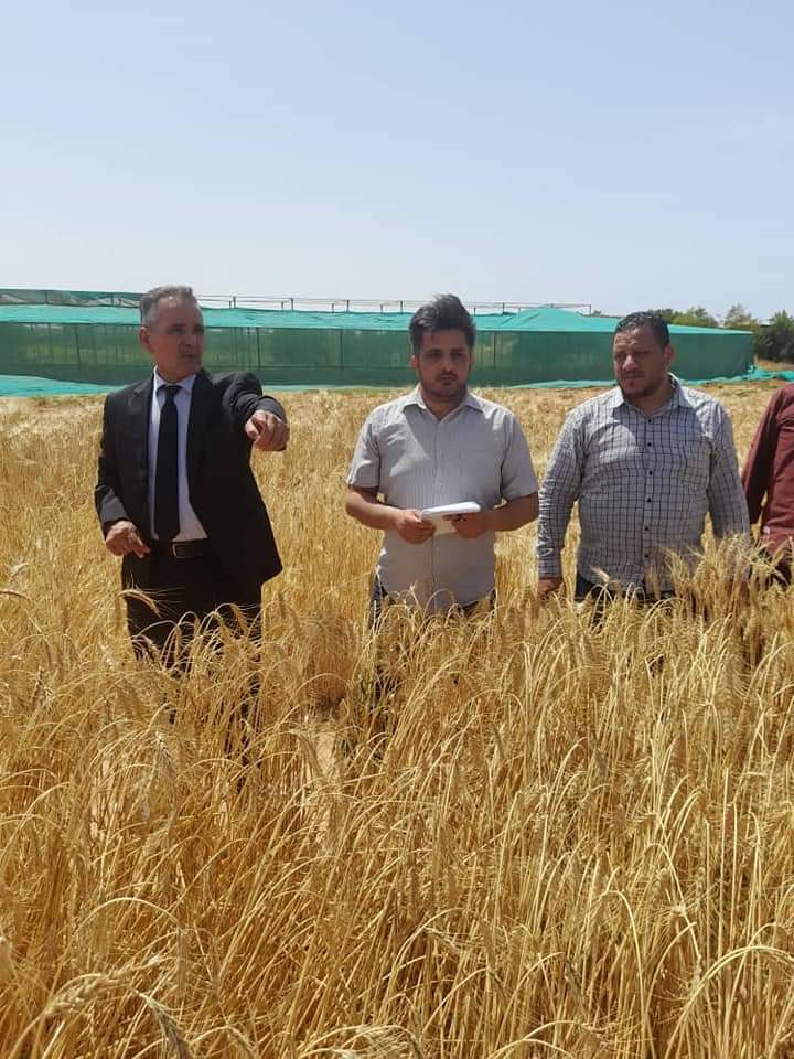 وال| زيارة وزير الزراعة لموقع التجارب العربية بمشروع مشتل القرضابية