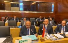 القاهرة تُطالب بتضافر جهود اللجنة الإفريقية لدعم المسار الدستوري في ليبيا