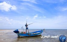 الأرصاد يحذر من رياح نشطة يوم الغد على الساحل من شحات إلى درنة 