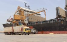 نشرة حركة سفن الحبوب السائبة التي وصلت لميناء بنغازي خلال شهر مايو الحالي