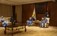 وزير الشؤون الإفريقية يبحث تأمين الحدود المشتركة مع النيجر