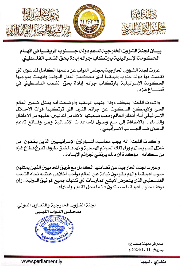 لجنة الخارجية بمجلس النواب تشيد بمقاضاة جنوب افريقيا للاحتلال الإسرائيلي أمام محكمة العدل الدولية