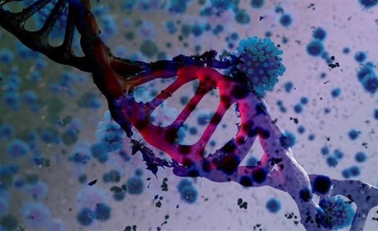 علماء يحددون متغير جيني يقلل من خطر الإصابة بمرض الزهايمر