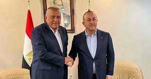 وزير الخارجية المصري يزور تركيا لبحث التنسيق مع أنقرة في القضايا الإقليمية