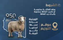 الحكومة الليبية تعلن توفير أضاحي العيد في الزويتينة ومرادة وسبها وأجدابيا وجالو والبريقة