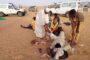 إصابة 20 شخصاً في حادث سير بالقرب من الحدود الليبية السودانية