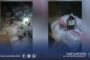  لجان رصد الأهلة تبدأ تحري هلال رمضان 1446هـ 