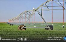 الوطني للتنمية يطلق مرحلة الحصاد في مشاريع زراعية استراتيجية بسرت والجنوب 