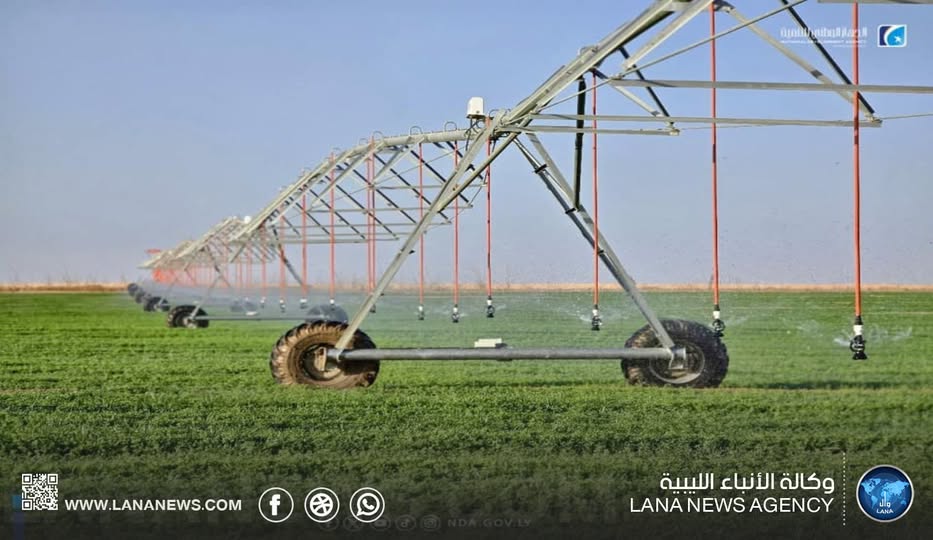 الوطني للتنمية يطلق مرحلة الحصاد في مشاريع زراعية استراتيجية بسرت والجنوب 