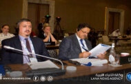 شمبش يُشارك في اجتماع اللجنة الدائمة للديمقراطية وحقوق الإنسان بالبرلماني الدولي