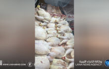 استمرار جولات التفتيش على اللحوم في حي الأندلس لضمان سلامة الأغذية