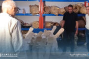 تعاون علمي لحفظ هيكل عظمي لحوت ضخم في بنغازي