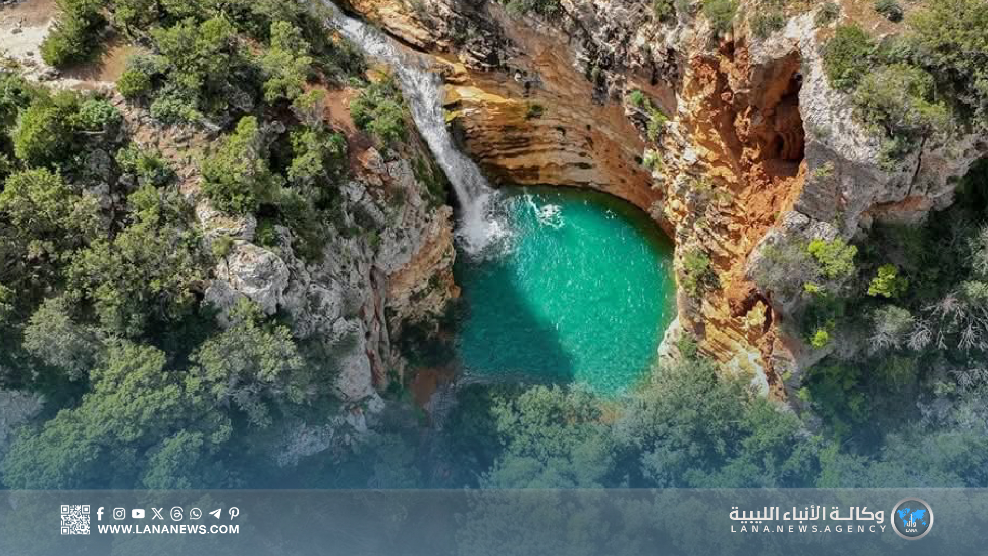 قطع الأشجار بالجبل الأخضر يهدد التنوع البيئي ويعمق التصحر