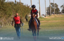 ترهونة تستضيف نهائي سباقات القدرة والتحمل للفروسية
