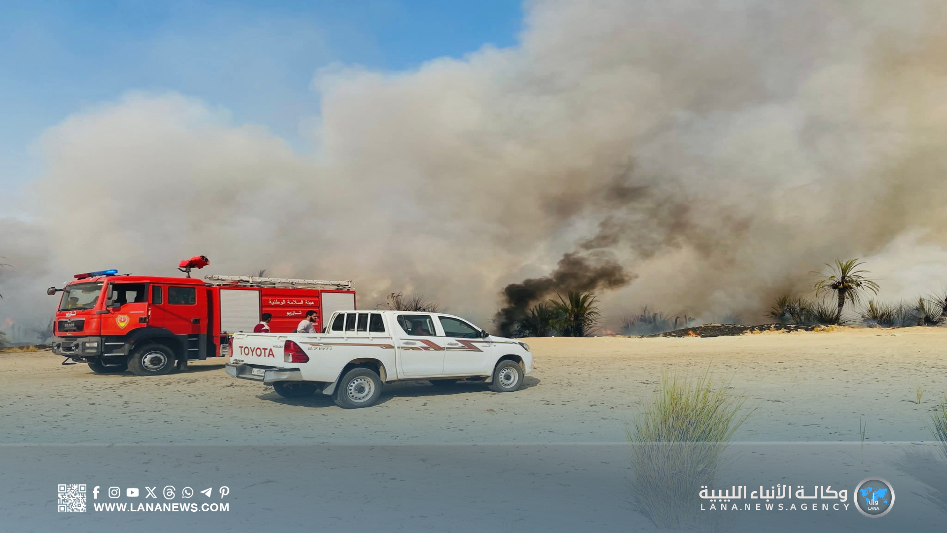 حرائق تلتهم غابات النخيل في تازربو والمجلس البلدي يُطلق نداء استغاثة