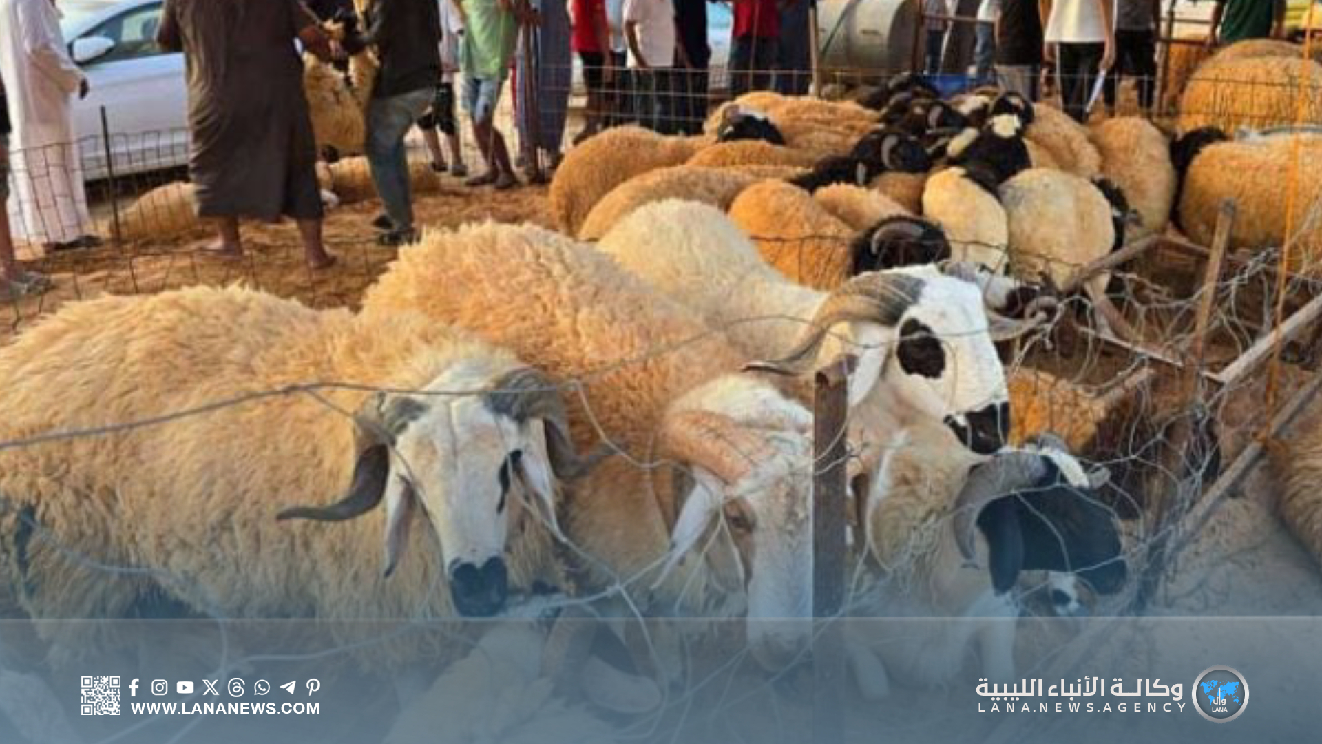 عيد الأضحى.. موسم المهن الموسمية بين الحاجة والمهارة