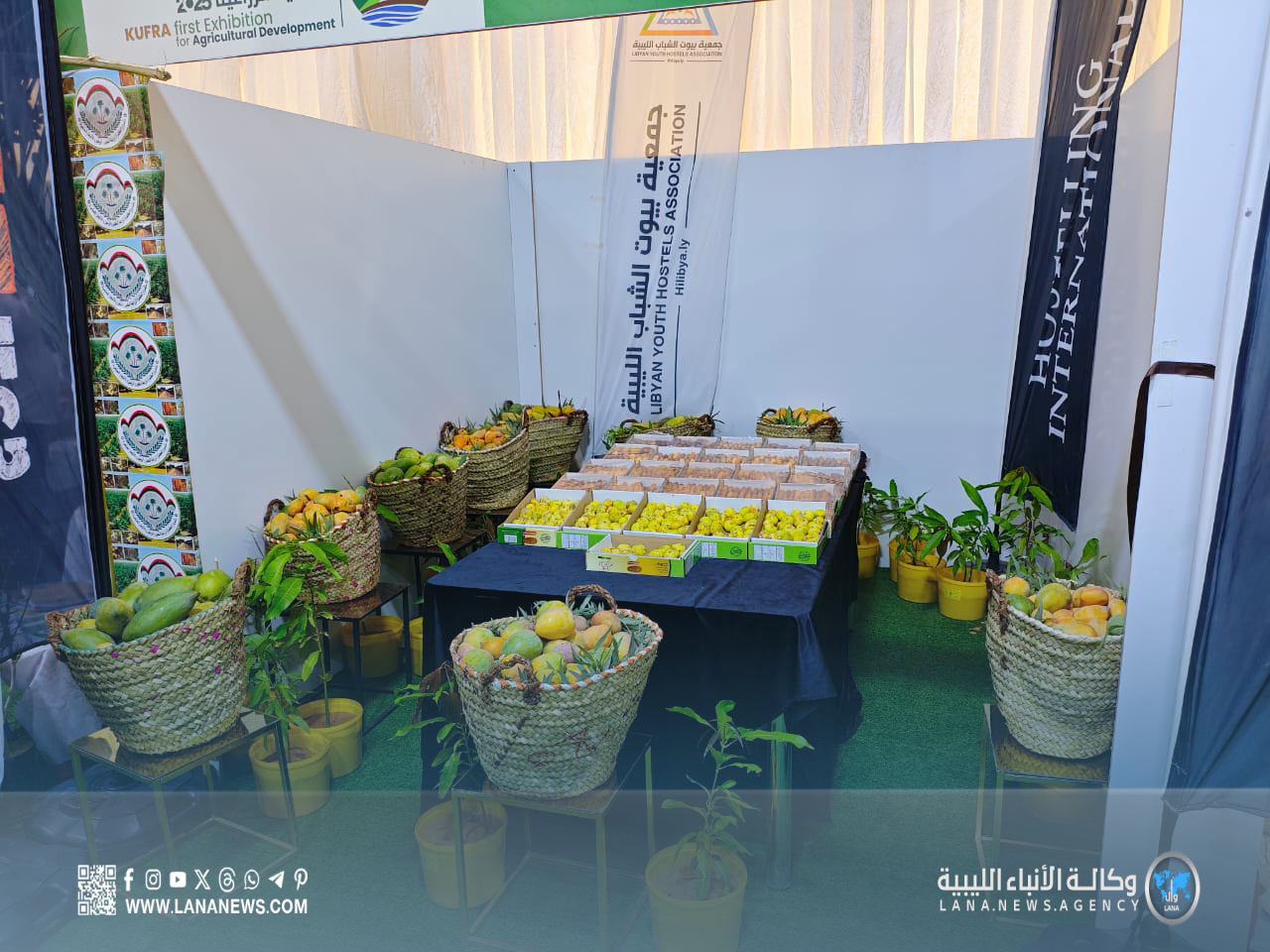 جمعية بيوت الشباب تبرز دورها في التنمية الزراعية بمعرض الكفرة الأول