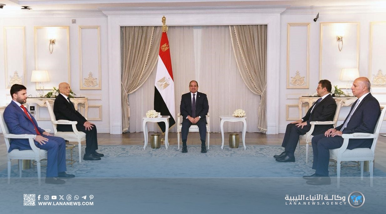 رئيس مجلس النواب يلتقي في القاهرة بالرئيس المصري عبد الفتاح السيسي