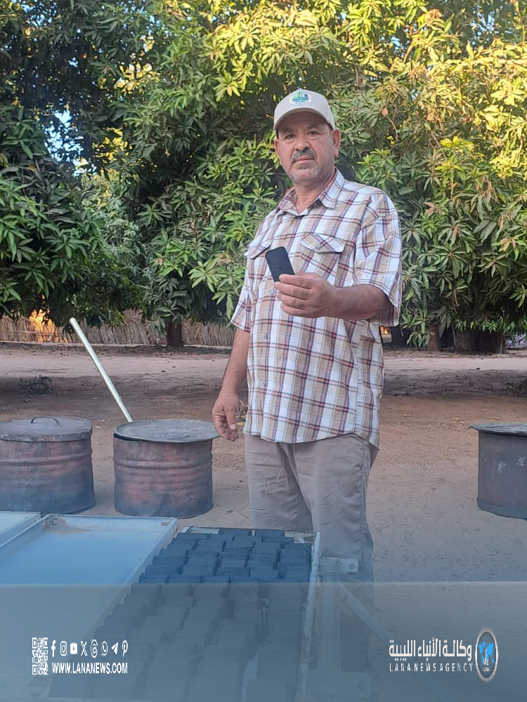 فحم المانجو.. كيف صنع مزارع من الكفرة نموذجًا للتنمية المستدامة