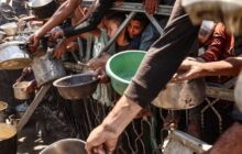 منظمة الصحة العالمية: سوء التغذية في غزة بلغ مستويات مقلقة للغاية