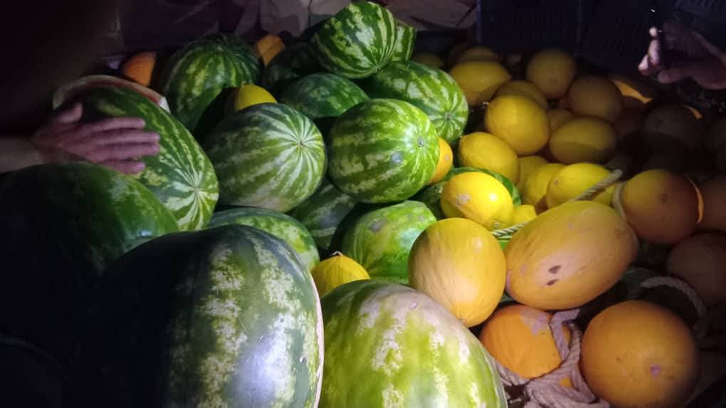 الحرس البلدي بسرت يصادر شحنتي بطيخ ودلاع غير صالحتين للاستهلاك