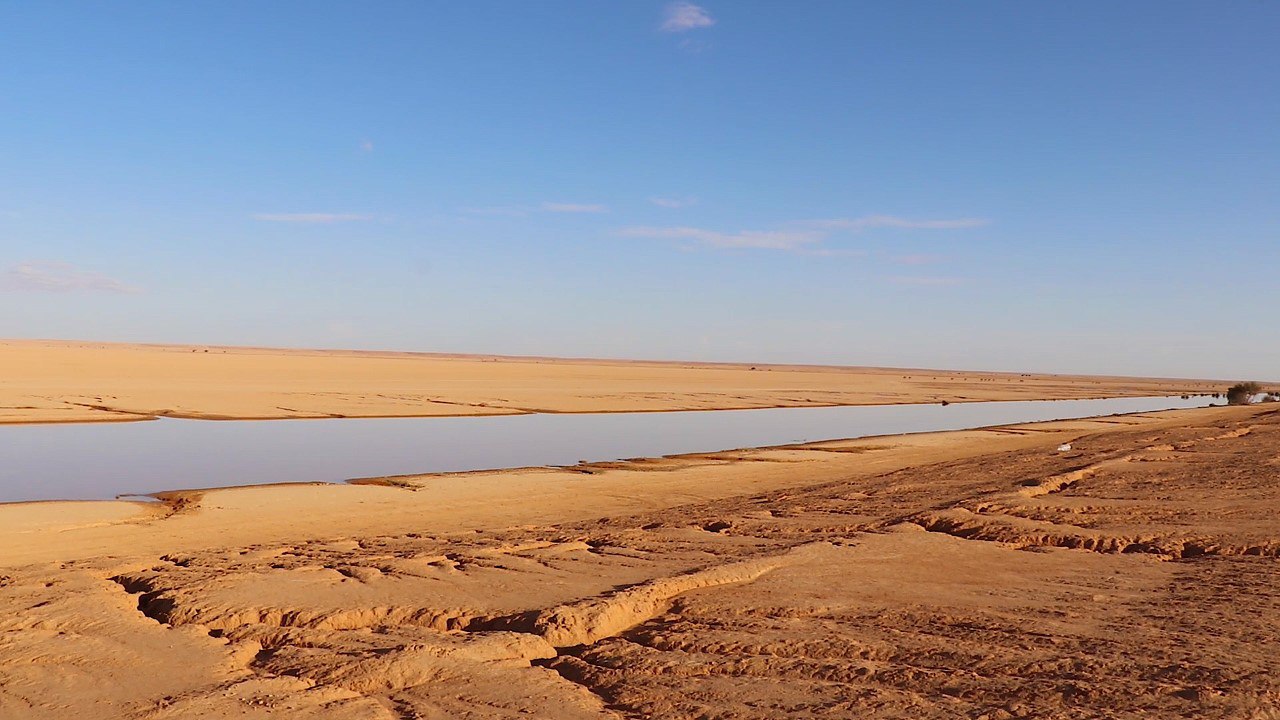 مربو المواشي جنوب البيضاء يستغيثون بعد عامين من انقطاع المياه 