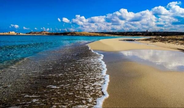 لجنة ضبط أمن الشواطئ تطلق خطة شاملة خلال الصيف