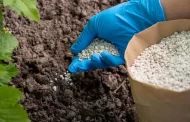 سوء استخدام الأسمدة.. خطر يهدد الإنتاج الزراعي في ليبيا