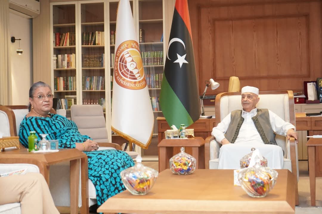 المستشار عقيلة صالح يلتقي هانا تيته في القبة