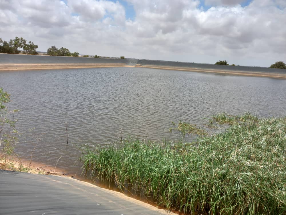 مزارع الجبل الأخضر تواجه استنزافًا بيئيًا جراء تأجيرها لعمالة وافدة