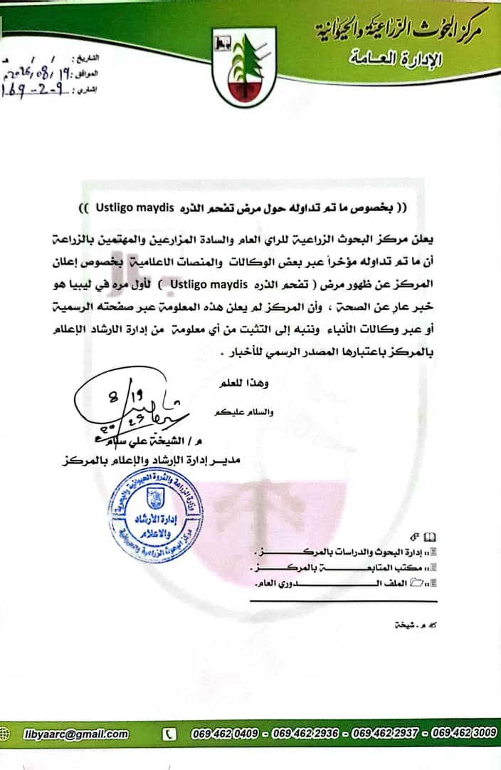 مركز البحوث الزراعية ينفي ظهور مرض تفحم الذرة في ليبيا