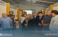وزيرة الثقافة: مهرجان 