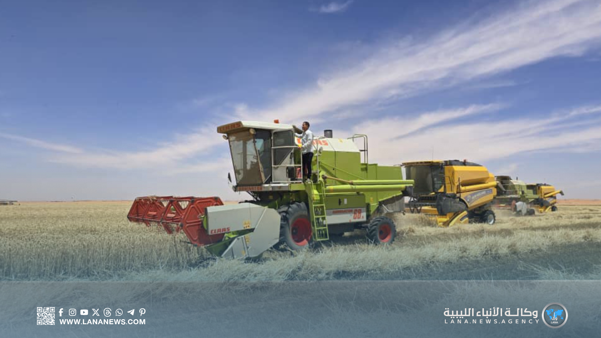 بدعم وطني.. مشروع الكفرة الزراعي يتجه ليكون محورًا استراتيجيًا للأمن الغذائي