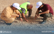 الخليج العربي للنفط تُتابع ميدانيًا تطبيق نظام العُقد اللاسلكية في امتياز 57