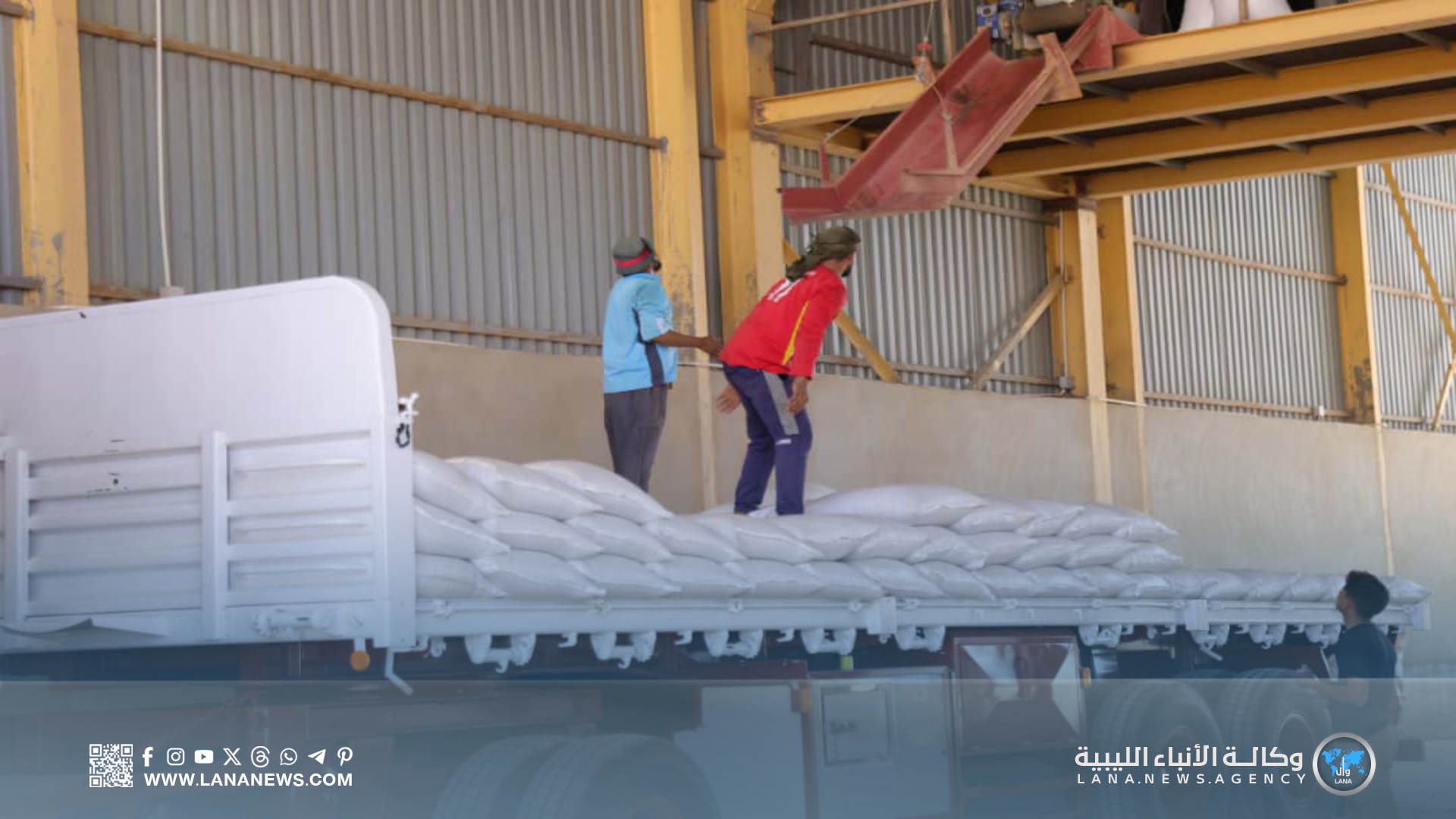 تواصل توزيع الأعلاف المدعومة لمُربي المواشي بمختلف مناطق ليبيا