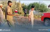 لجنة إعادة تنظيم الجنوب تُطلق حملة لمكافحة العقارب بوادي الشاطئ
