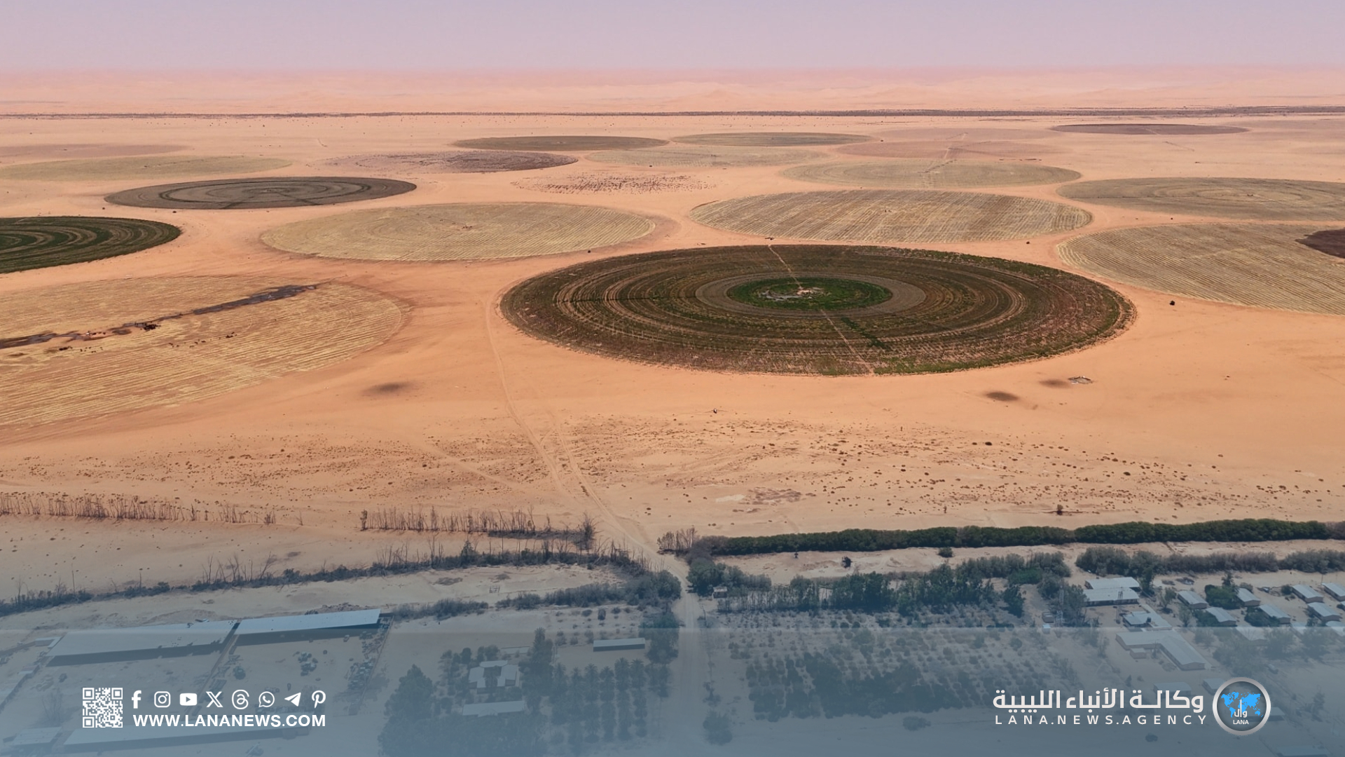 الوطني للتنمية يزور مشاريع زراعية بوادي عتبة لتعزيز الأمن الغذائي