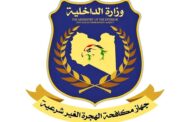ترحيل 90 مهاجرًا نيجيريًا عبر مطار بنينا الدولي
