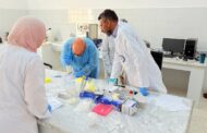 بدء حملة تحاليل للكشف عن مرض طاعون المجترات الصغيرة في الأغنام