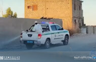 لجنة إعادة تنظيم الجنوب تُطلق حملة لمكافحة العقارب في بلدية الشاطئ