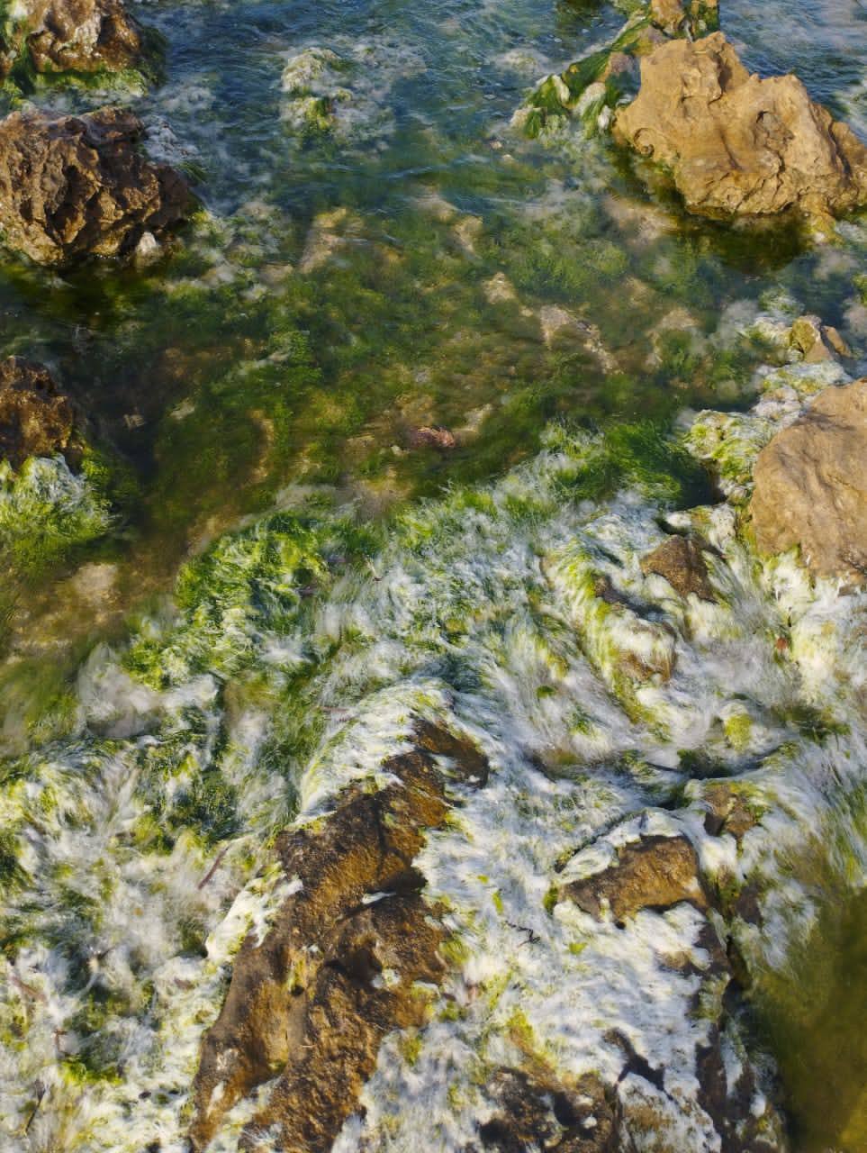 الهيئة الليبية للبحث العلمي تطلق دراسة ميدانية على شاطئ زليتن