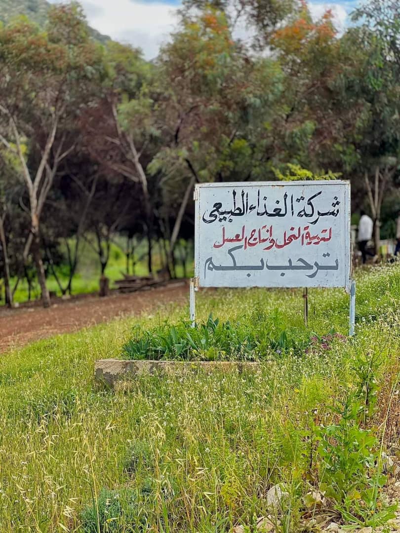 خبير نحل يناشد بحماية محمية بوترابه ويوضح احتياجاتها العلمية والتعليمية