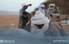 استعدادات مكثفة لانطلاق تصفيات سباق المهاري في أوباري