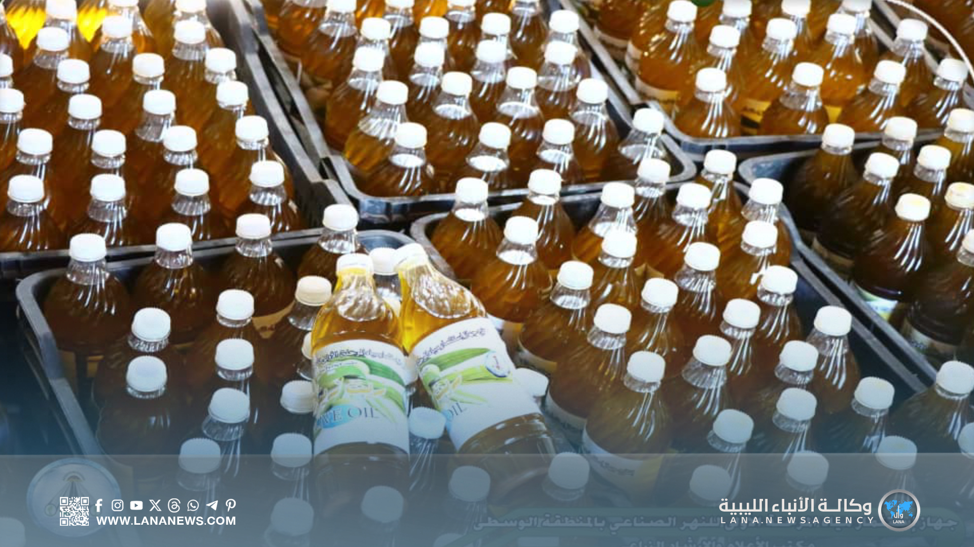 جهاز تنفيذ مياه النهر يُعلن تسويق زيت الزيتون لموسم 2025