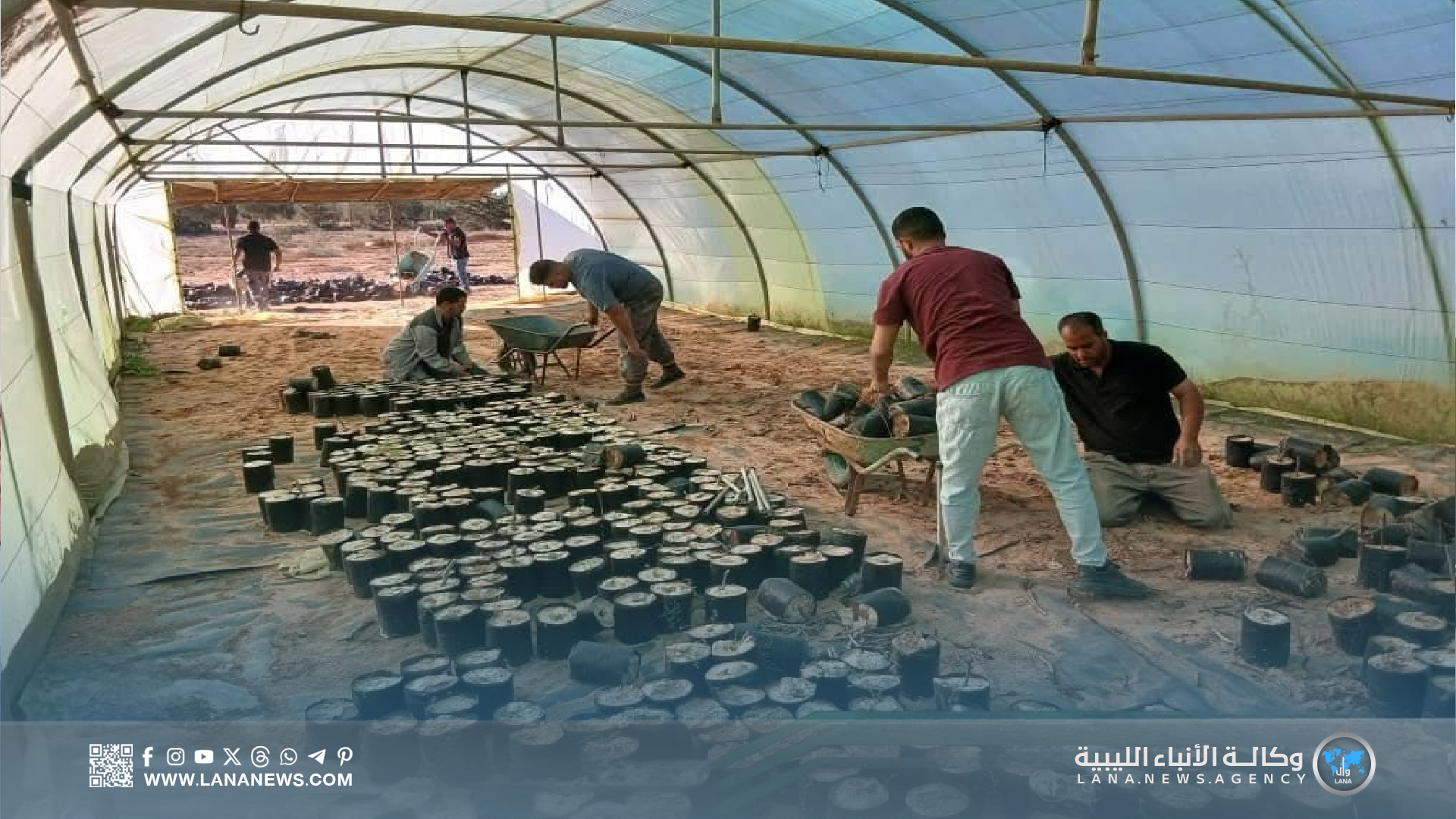 جهاز استثمار مياه النهر الصناعي بالوسطى يجهز الخطة الزراعية للعام المقبل