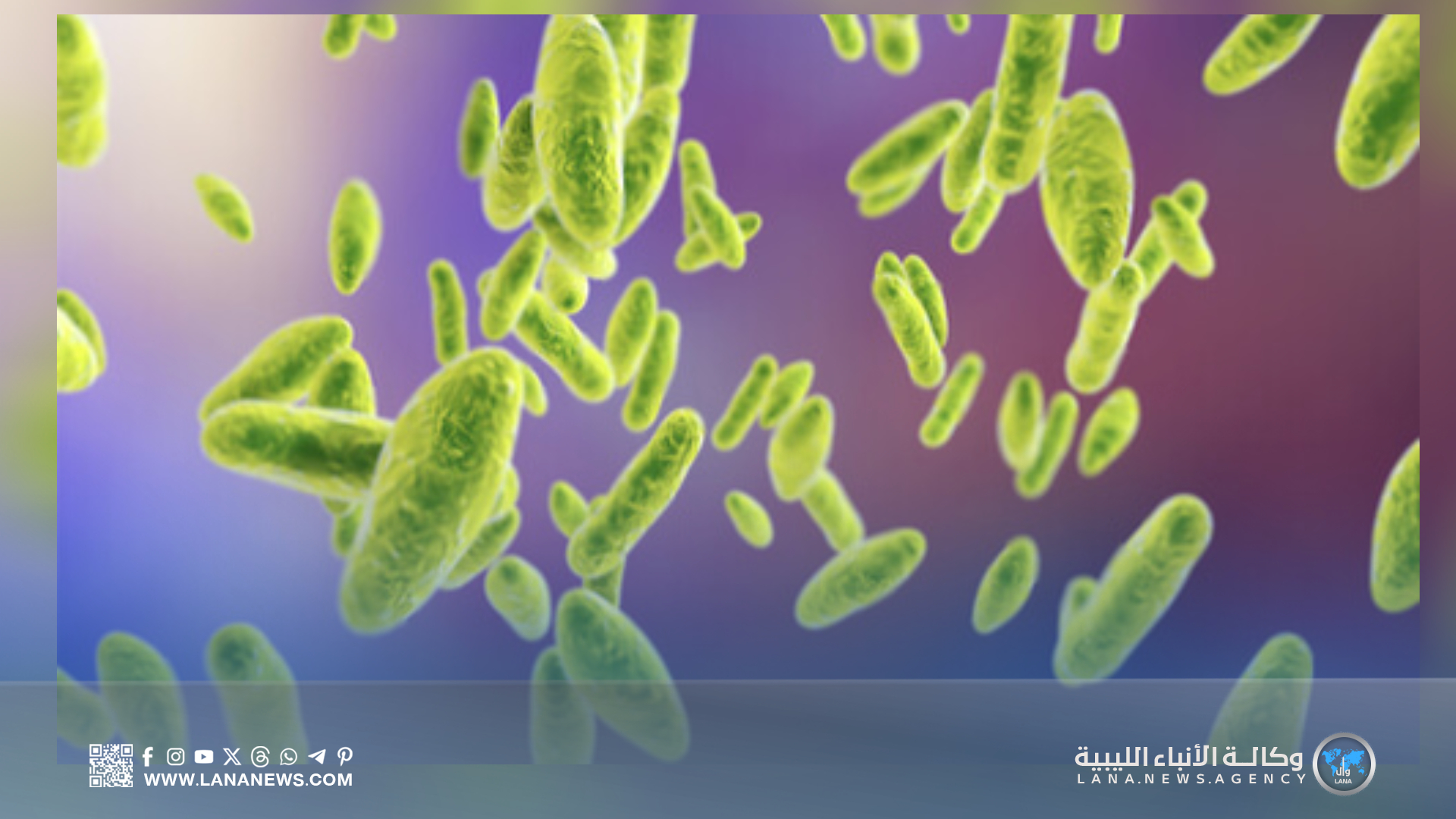 تفشي الحمى المالطية بين المواشي بالجبل الأخضر والمطالبة بتدخل عاجل