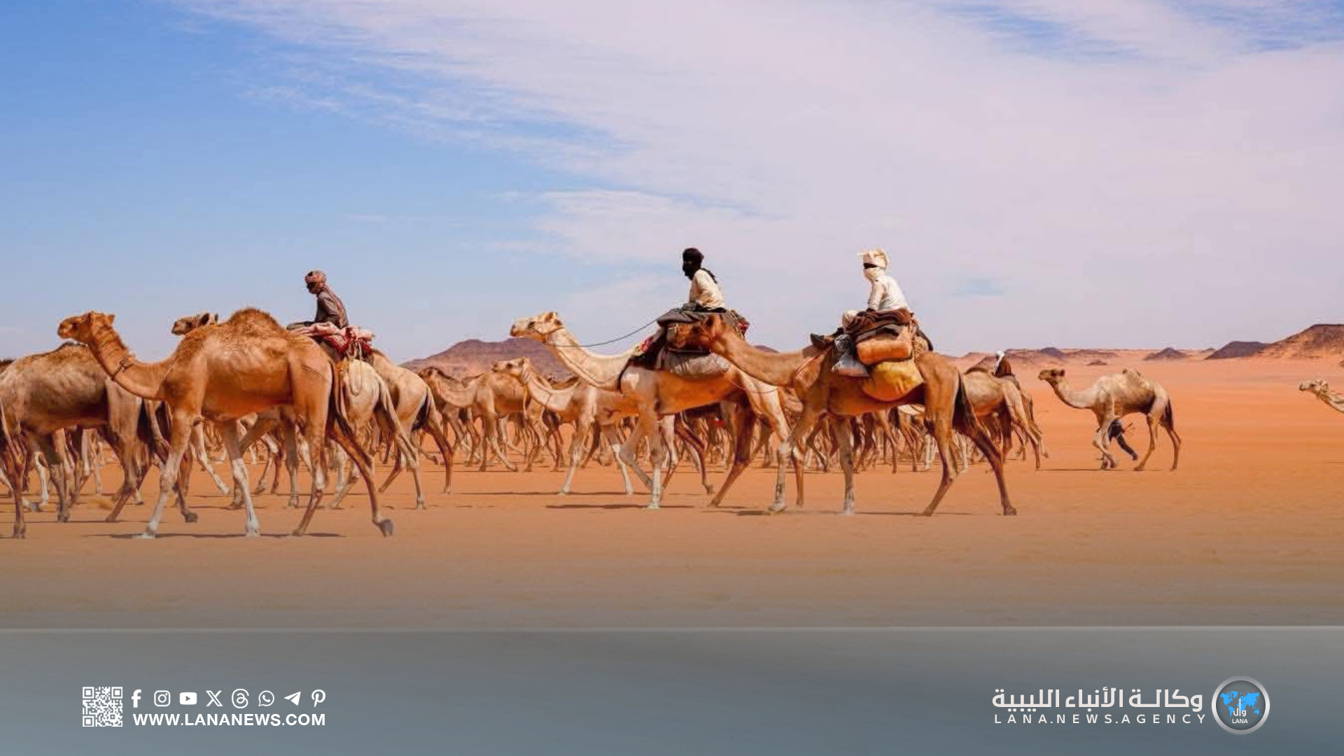 قوافل الإبل القادمة من تشاد تنعش حركة التجارة الصحراوية في الكفرة