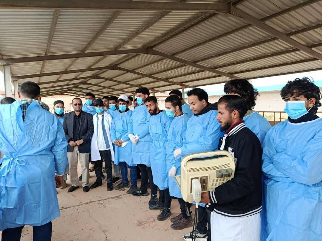 إطلاق برنامج الكشف المجاني على الحمل لدى الخيول